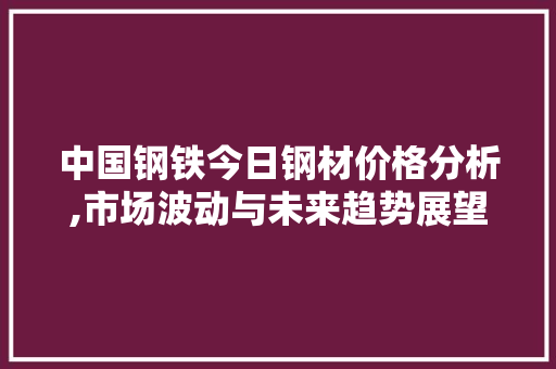中国钢铁今日钢材价格分析,市场波动与未来趋势展望