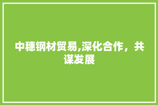 中穗钢材贸易,深化合作，共谋发展