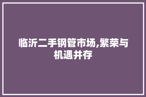 临沂二手钢管市场,繁荣与机遇并存