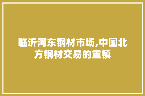 临沂河东钢材市场,中国北方钢材交易的重镇