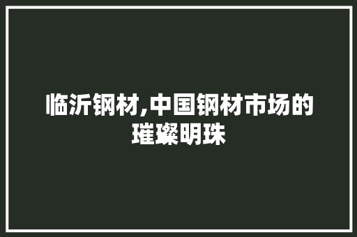 临沂钢材,中国钢材市场的璀璨明珠