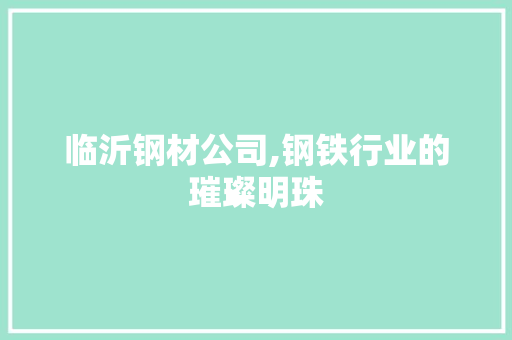 临沂钢材公司,钢铁行业的璀璨明珠