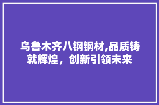 乌鲁木齐八钢钢材,品质铸就辉煌，创新引领未来