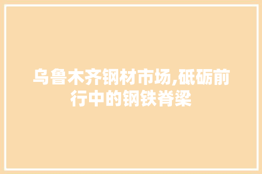 乌鲁木齐钢材市场,砥砺前行中的钢铁脊梁