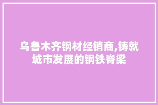 乌鲁木齐钢材经销商,铸就城市发展的钢铁脊梁
