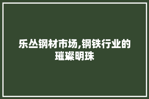 乐丛钢材市场,钢铁行业的璀璨明珠