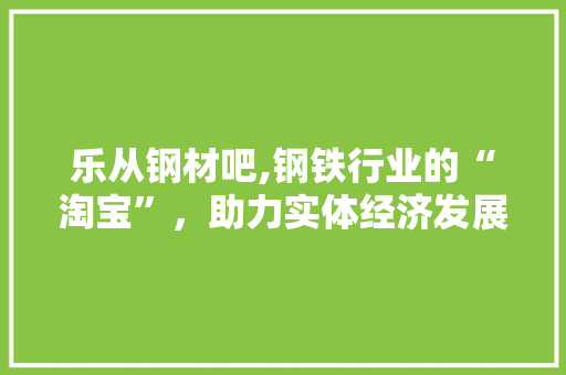 乐从钢材吧,钢铁行业的“淘宝”，助力实体经济发展