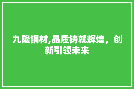 九隆钢材,品质铸就辉煌，创新引领未来