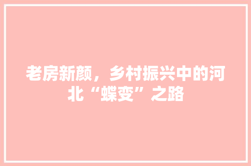 老房新颜，乡村振兴中的河北“蝶变”之路