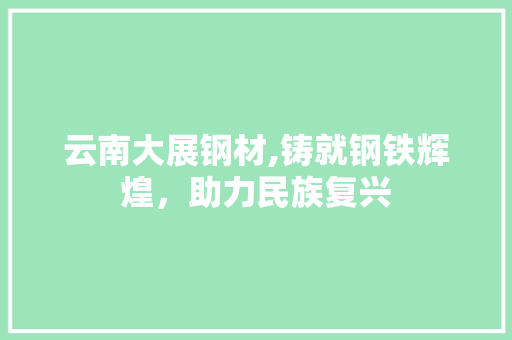 云南大展钢材,铸就钢铁辉煌，助力民族复兴