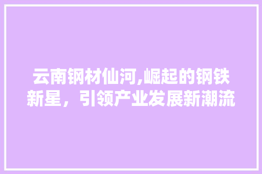 云南钢材仙河,崛起的钢铁新星，引领产业发展新潮流