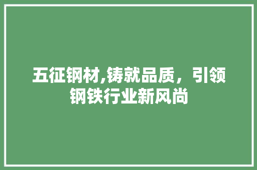 五征钢材,铸就品质，引领钢铁行业新风尚