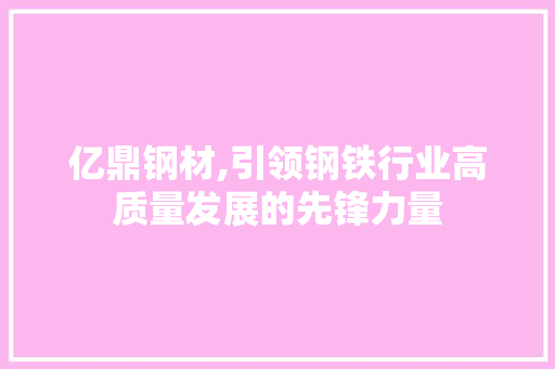 亿鼎钢材,引领钢铁行业高质量发展的先锋力量