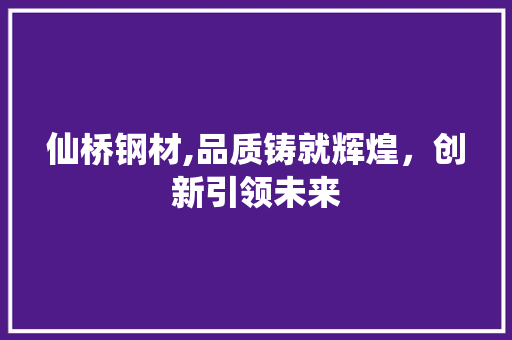 仙桥钢材,品质铸就辉煌，创新引领未来