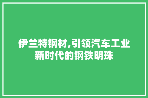 伊兰特钢材,引领汽车工业新时代的钢铁明珠