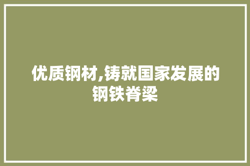 优质钢材,铸就国家发展的钢铁脊梁