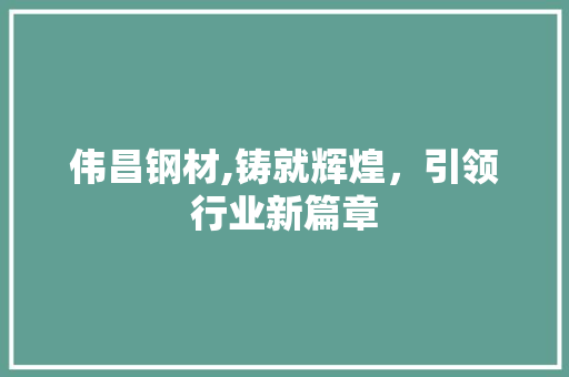 伟昌钢材,铸就辉煌，引领行业新篇章