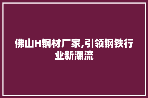 佛山H钢材厂家,引领钢铁行业新潮流
