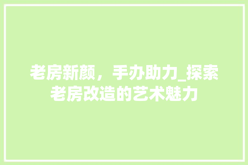 老房新颜，手办助力_探索老房改造的艺术魅力