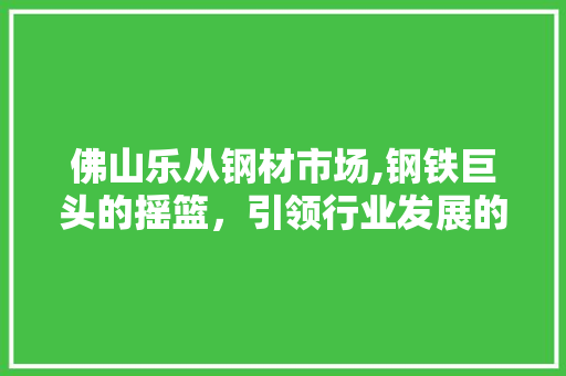 佛山乐从钢材市场,钢铁巨头的摇篮，引领行业发展的风向标