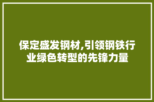 保定盛发钢材,引领钢铁行业绿色转型的先锋力量