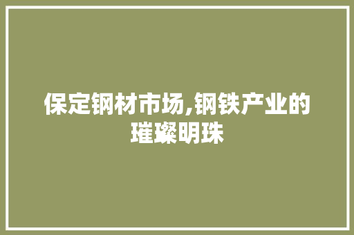 保定钢材市场,钢铁产业的璀璨明珠