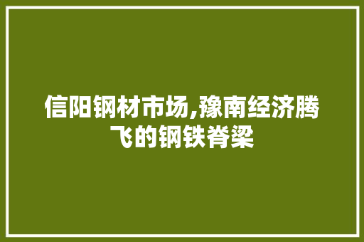 信阳钢材市场,豫南经济腾飞的钢铁脊梁