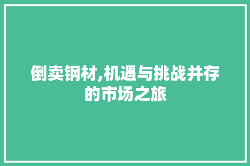 倒卖钢材,机遇与挑战并存的市场之旅