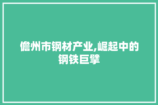 儋州市钢材产业,崛起中的钢铁巨擘