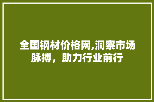 全国钢材价格网,洞察市场脉搏，助力行业前行