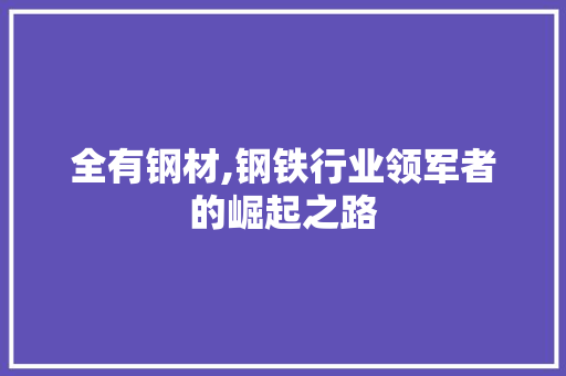 全有钢材,钢铁行业领军者的崛起之路