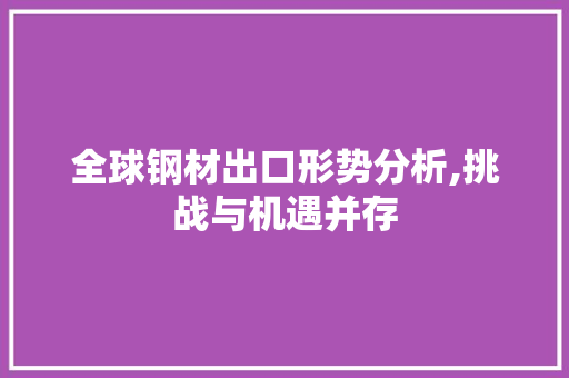 全球钢材出口形势分析,挑战与机遇并存
