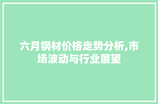 六月钢材价格走势分析,市场波动与行业展望