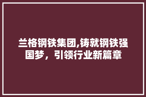 兰格钢铁集团,铸就钢铁强国梦，引领行业新篇章