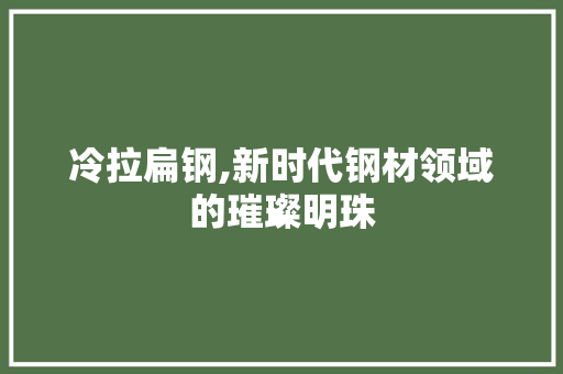 冷拉扁钢,新时代钢材领域的璀璨明珠