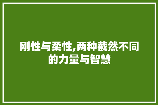 刚性与柔性,两种截然不同的力量与智慧