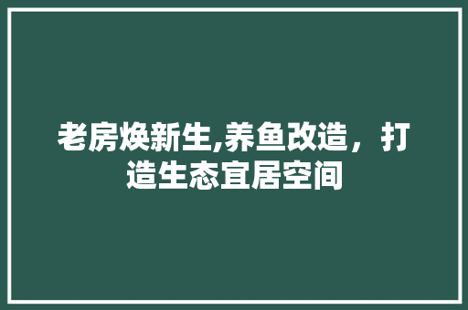 老房焕新生,养鱼改造，打造生态宜居空间