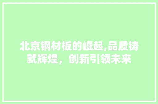 北京钢材板的崛起,品质铸就辉煌，创新引领未来