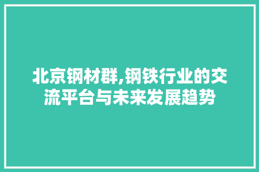 北京钢材群,钢铁行业的交流平台与未来发展趋势