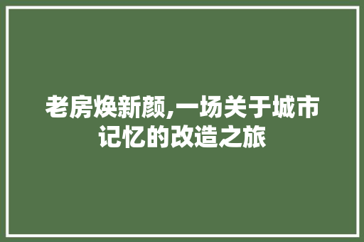 老房焕新颜,一场关于城市记忆的改造之旅