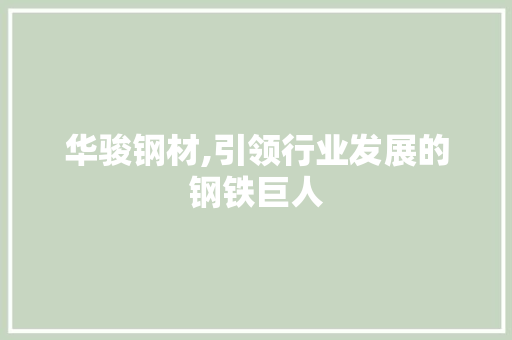 华骏钢材,引领行业发展的钢铁巨人