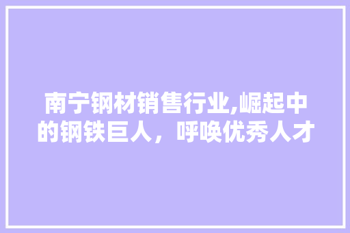 南宁钢材销售行业,崛起中的钢铁巨人，呼唤优秀人才加盟