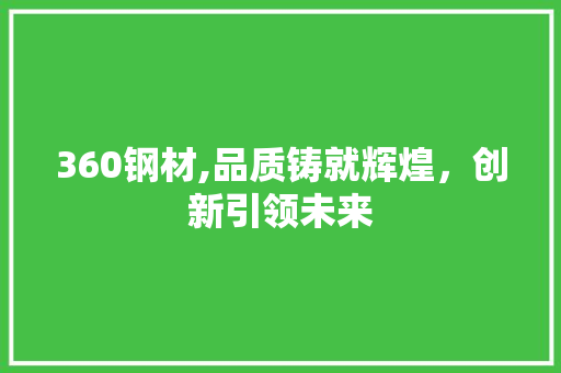 360钢材,品质铸就辉煌，创新引领未来