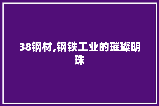 38钢材,钢铁工业的璀璨明珠