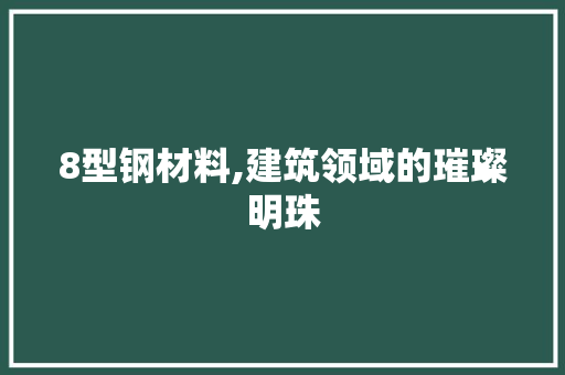 8型钢材料,建筑领域的璀璨明珠