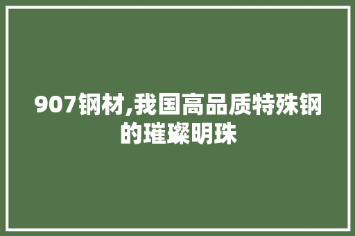 907钢材,我国高品质特殊钢的璀璨明珠