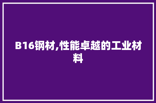B16钢材,性能卓越的工业材料