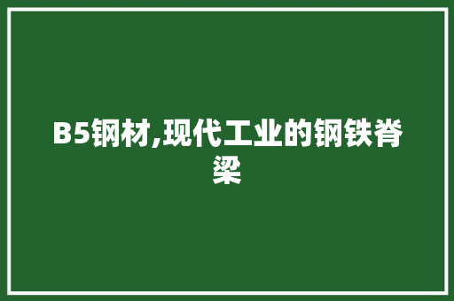 B5钢材,现代工业的钢铁脊梁