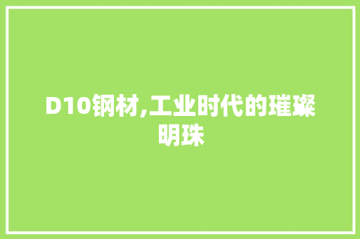 D10钢材,工业时代的璀璨明珠