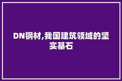 DN钢材,我国建筑领域的坚实基石